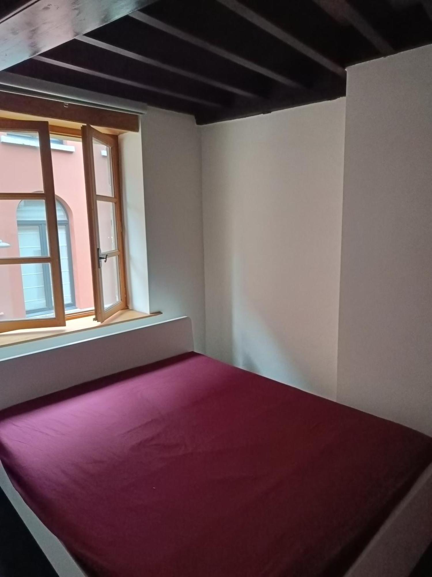 Viktoria Hostel แอนต์เวิร์ป ภายนอก รูปภาพ