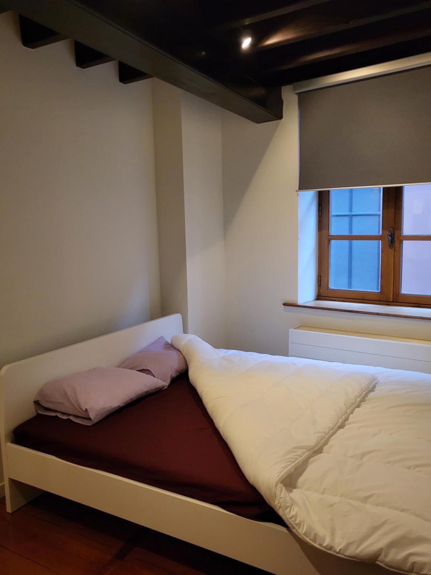 Viktoria Hostel แอนต์เวิร์ป ห้อง รูปภาพ